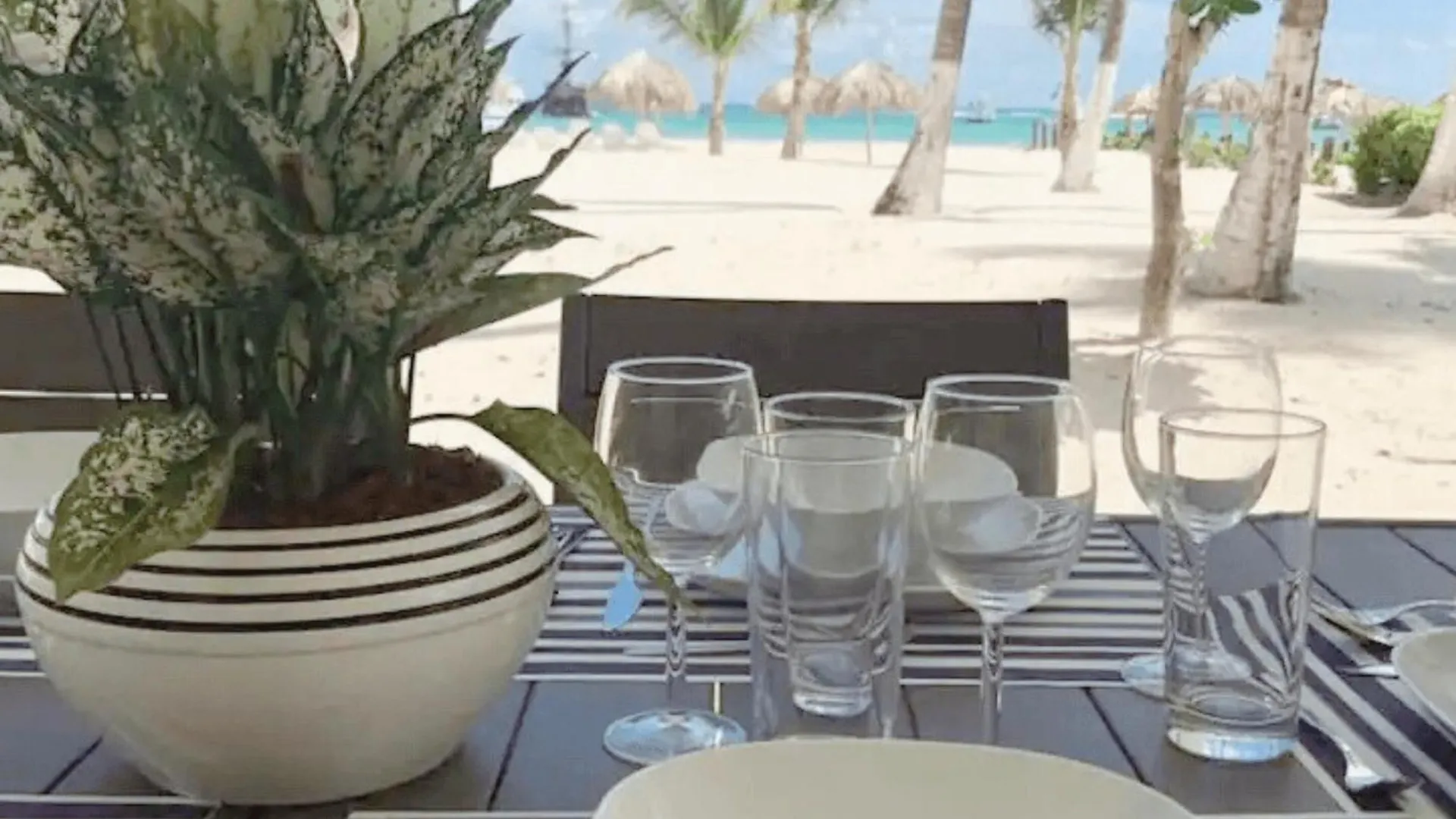 Apartment Beachfront Condo On Los Corales Beach, Playa Bavaro Punta Cana